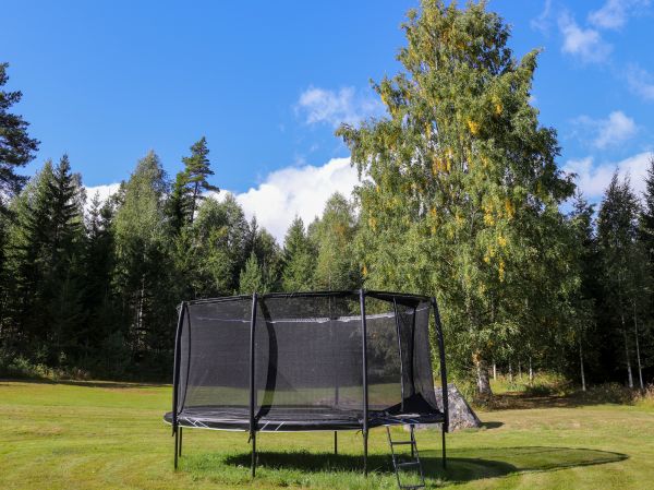 Trampoline Removal in Millsboro
