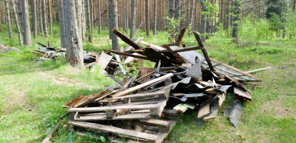 Debris Removal Service in Millsboro
